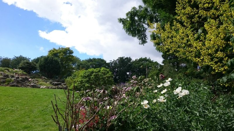 Giardino-Botanico-1024x576.jpg